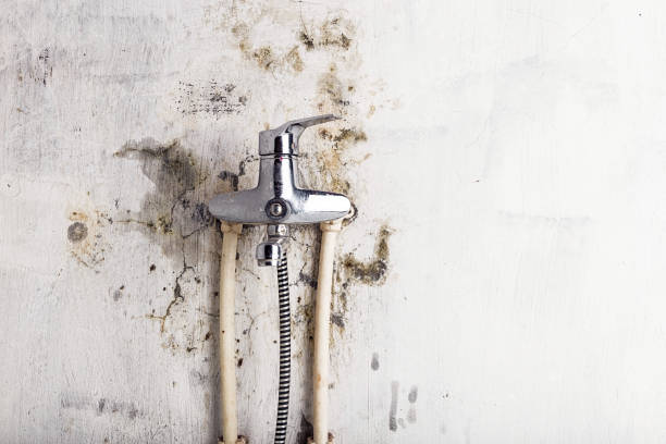 Best Mold Remediation  in Hoxie, KS