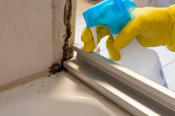 Best Mold Cleaning Services  in Hoxie, KS