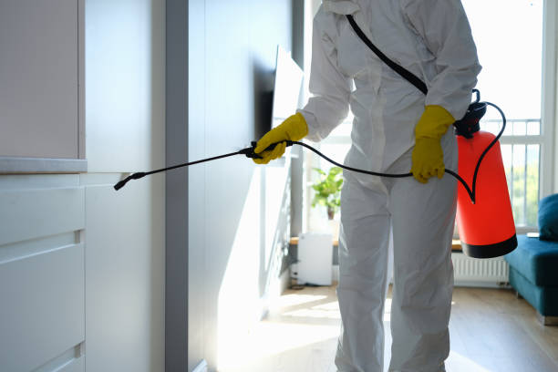 Best Mold Damage Repair  in Hoxie, KS