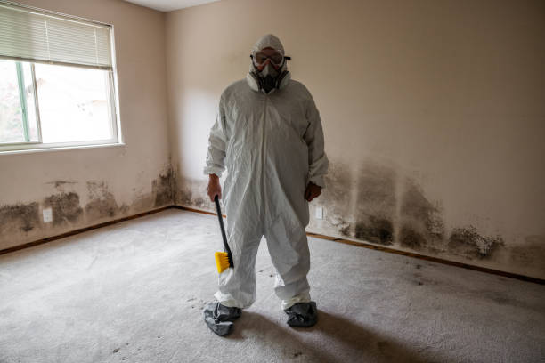 Best Mold Testing  in Hoxie, KS
