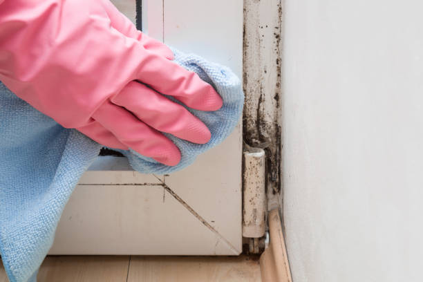 Best Mold Testing  in Hoxie, KS